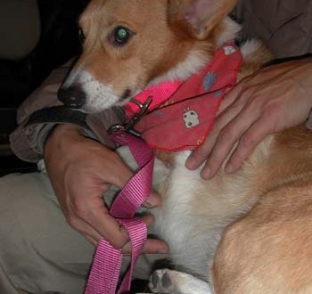 1380945887-959768582