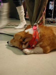 1380945888-2722854351