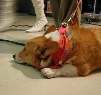 1380945888-2722854351