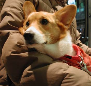 1380945889-639566312