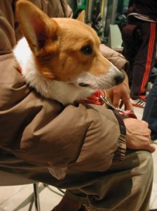 1380945890-2475938980