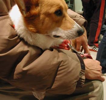 1380945890-2475938980