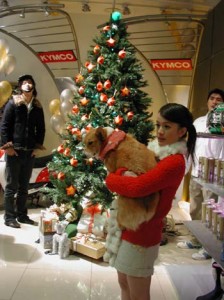 1380945891-1522521448