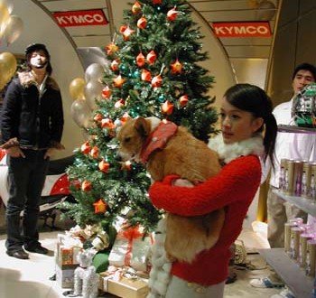 1380945891-1522521448