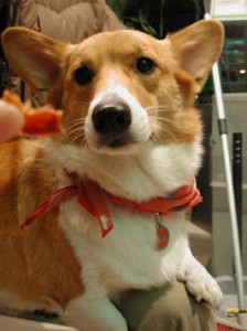 1380945891-1914636803