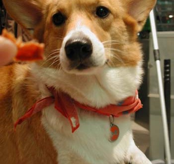 1380945891-1914636803