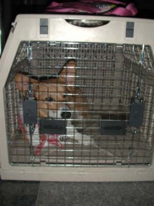 1380945892-3672352600