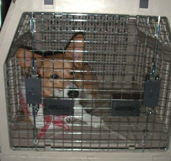 1380945892-3672352600