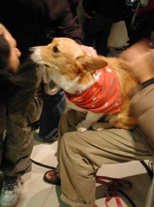 1380945892-524286742