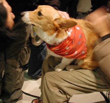 1380945892-524286742