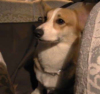 1380945894-1822897550