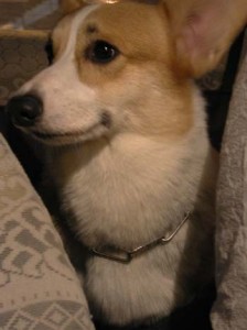 1380945894-2113015673