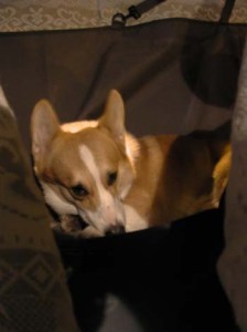 1380945894-3919683102