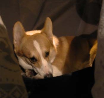 1380945894-3919683102