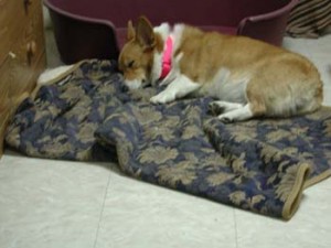 1380945895-2862636357