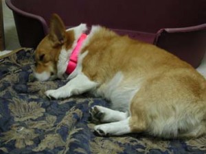 1380945895-595879831