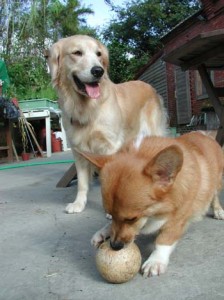 1380945897-2119989273