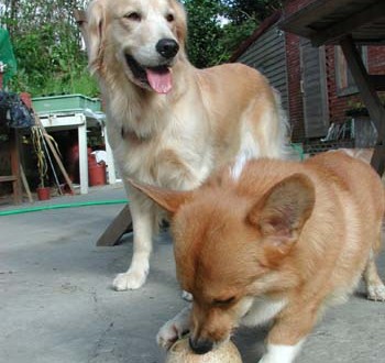 1380945897-2119989273