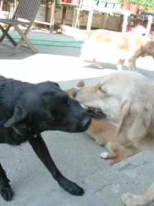 1380945897-3886391112