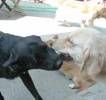 1380945897-3886391112