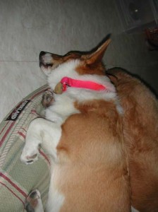 1380945901-2457137382