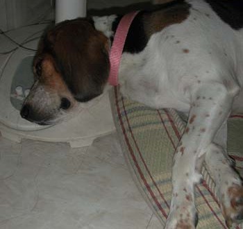 1380945901-999018708