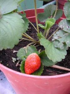 1380945903-2203755216