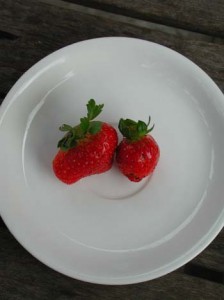 1380945904-3019165410