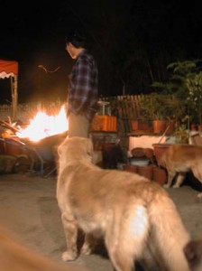 1380945905-2066597785