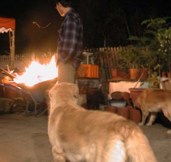 1380945905-2066597785