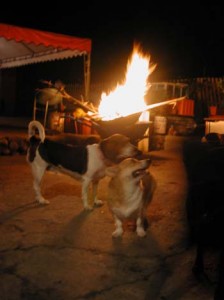 1380945905-3208112652