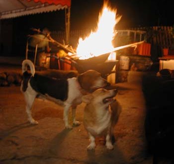 1380945905-3208112652