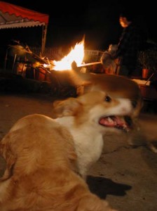 1380945907-2545628493