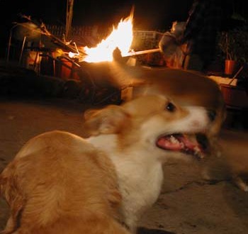 1380945907-2545628493