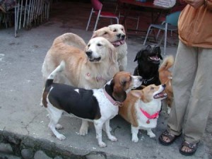 1380945909-816511351