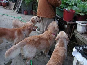 1380945910-1450371634