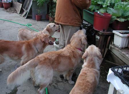 1380945910-1450371634