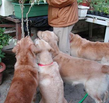 1380945910-2493467994