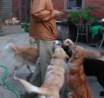 1380945910-454687449