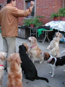 1380945911-3189721601