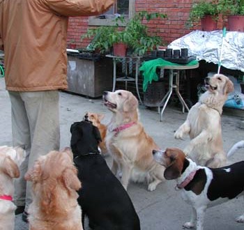 1380945911-3189721601