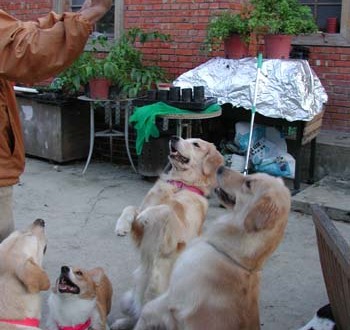 1380945911-923849280