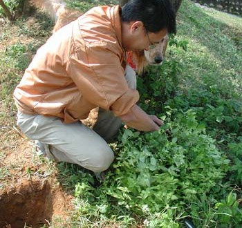 1380945912-4015483168