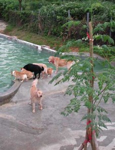 1380945913-3470480093