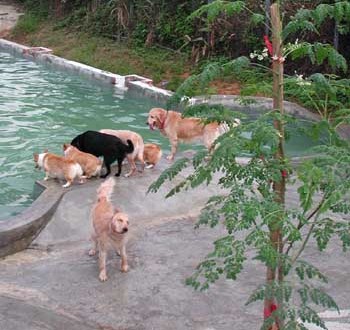 1380945913-3470480093