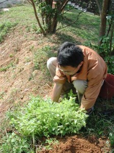 1380945914-1805280003