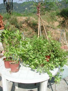 1380945914-2475506335