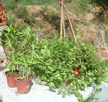 1380945914-2475506335