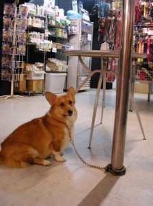 1380945916-1766230831