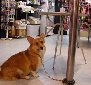 1380945916-1766230831